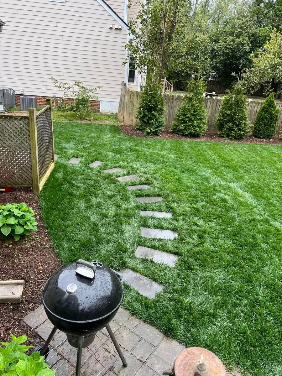 Backyard with stepping stone path, new grass and arborvitae plantings