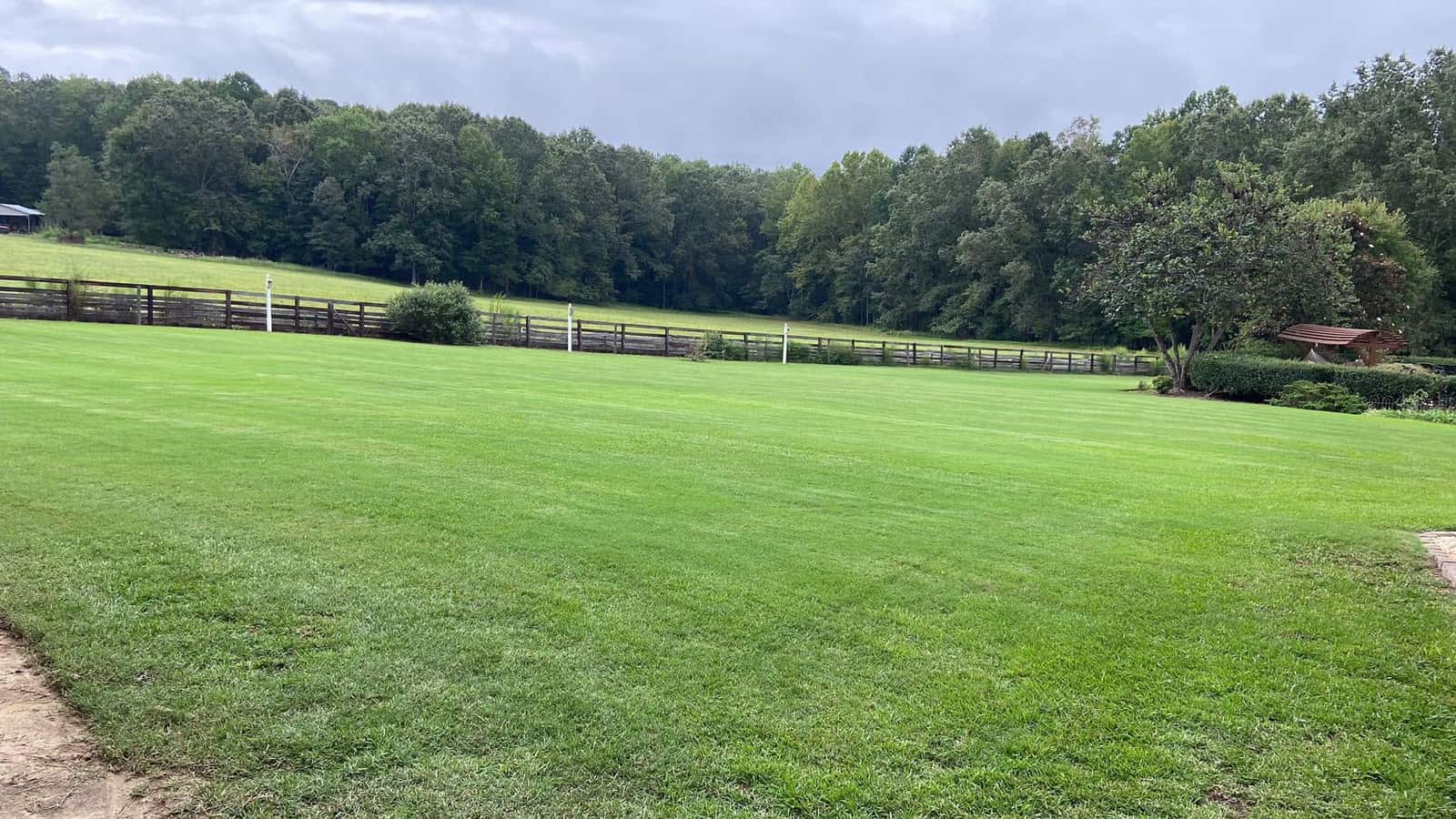 A freshly mowed, deep-green lawn maintained by Galdino Landscape in Holly Springs, North Carolina