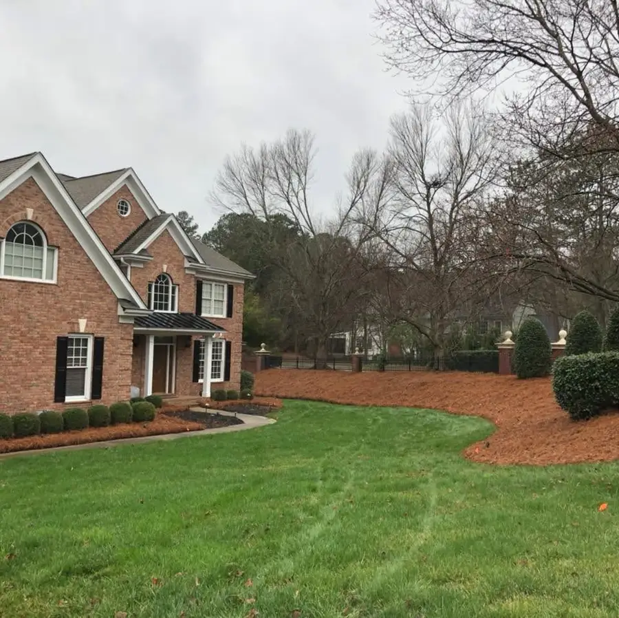 Fresh pine straw beds around shrubs at a brick home
