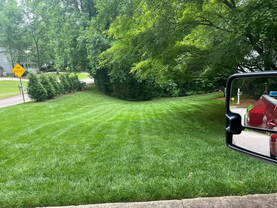 Freshly mowed lawn with clean mowing stripes